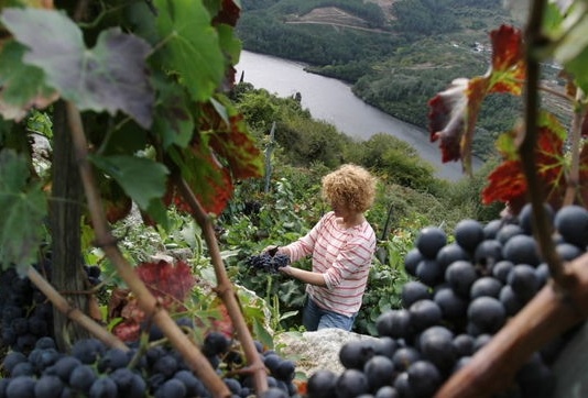 Paradores-Reise durch das Weinland Galicien