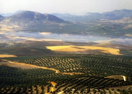 Tag 5 l Jerez - Sevilla, Olivenöl-Hacienda und Tapas-Tour